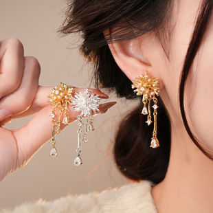 18K Gold Zircon Firework Teardrop Stud Earrings