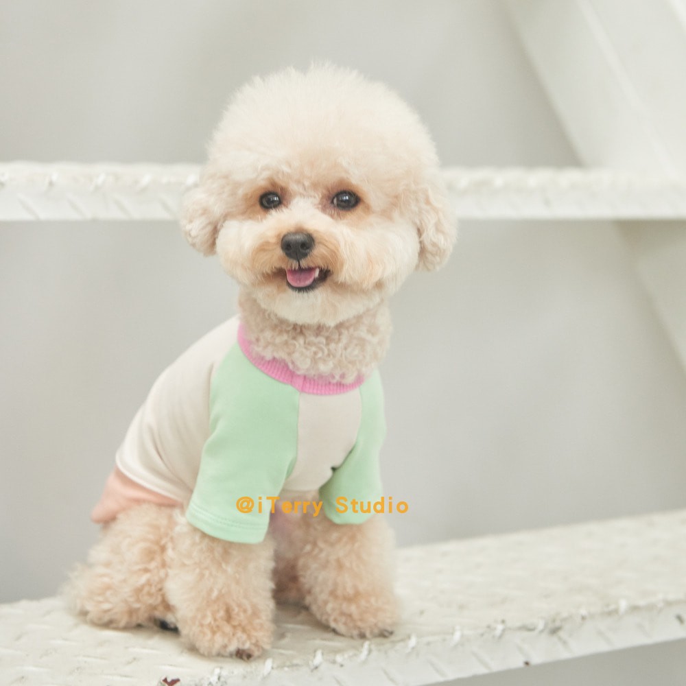 MERECONTE可爱狗狗马卡龙色拼