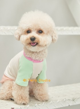 [现货]韩国mereconte可爱狗狗马卡龙色拼色比熊泰迪秋装蓝色上衣