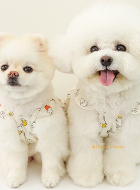 [现货]韩国noutti春季新款软萌狗狗100%棉透气松紧米菲联名上衣