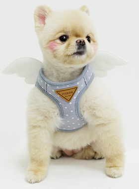 [现货]韩国ItsDog可爱天使翅膀透气狗狗胸背比熊泰迪舒适遛狗胸背