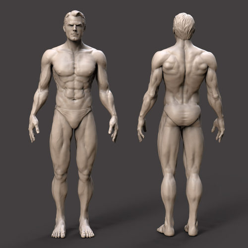 3d打印图纸模型男性标准人体肌肉STL摆件立体圆雕图F3809