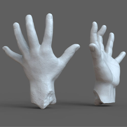 3d打印图纸模型素材文件OBJ手STL雕塑圆雕图F2697