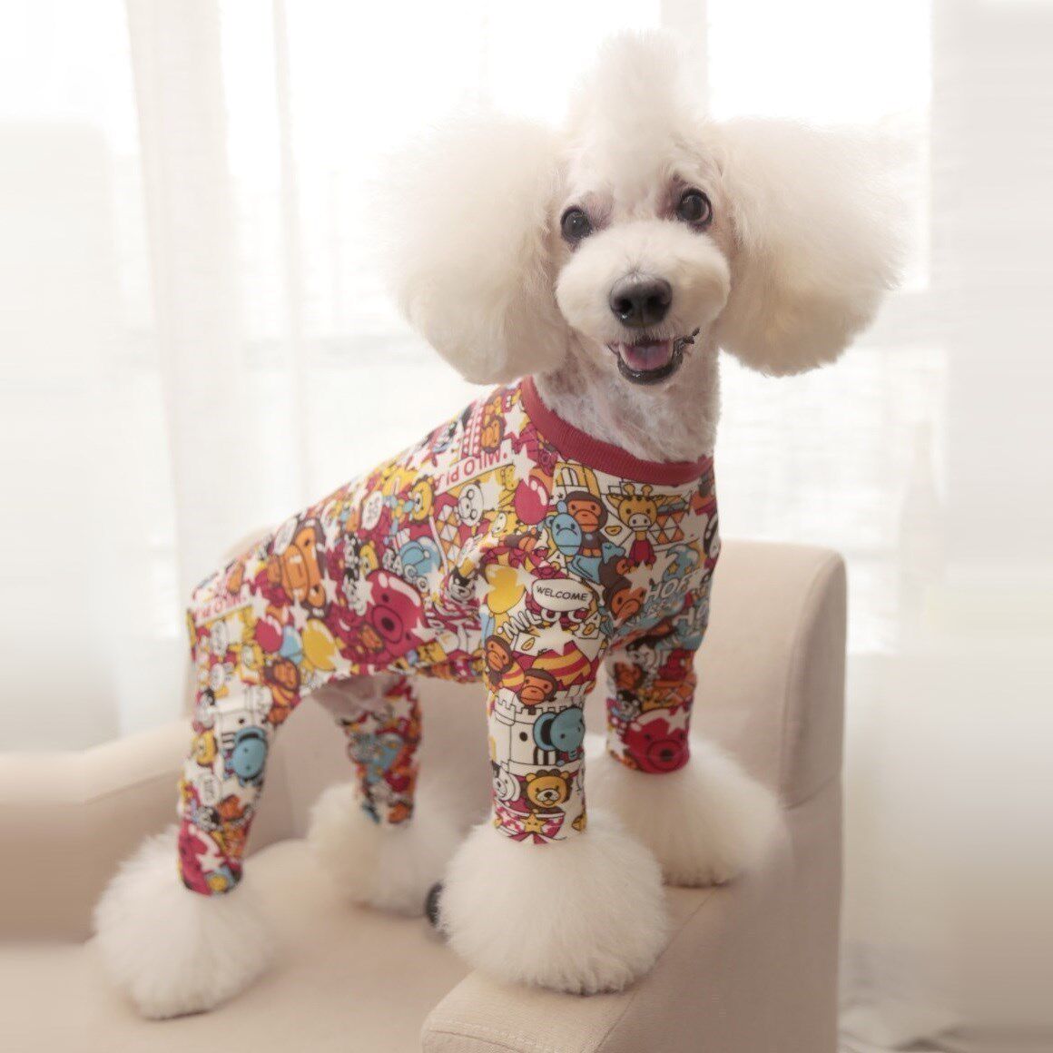 宝眷春季宠物服饰卡通动物园猴 泰迪比熊喜庆狗连体四脚衣运动衫