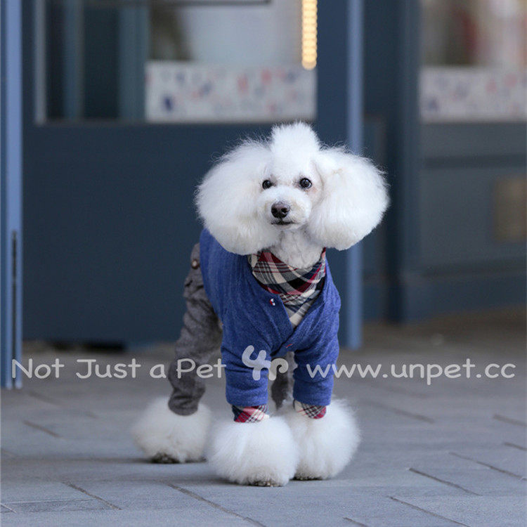 宝眷宠物服饰衣服泰迪比熊雪纳瑞圆领长袖蓝开衫外套狗狗韩款毛衣