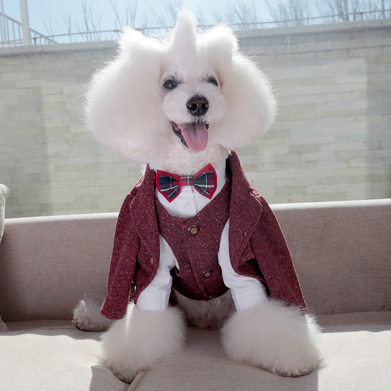 宝眷宠物衣服新年装春季小型犬过年网红狗狗衣服泰迪红色喜庆西装