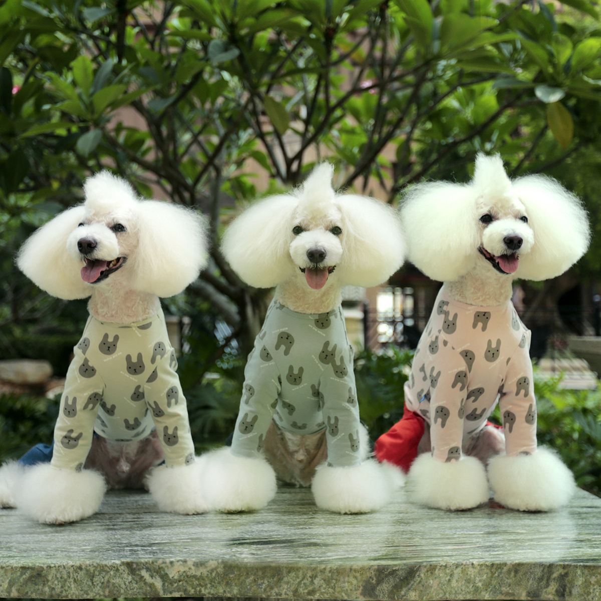 打底衫宝眷兔子三色打底衫