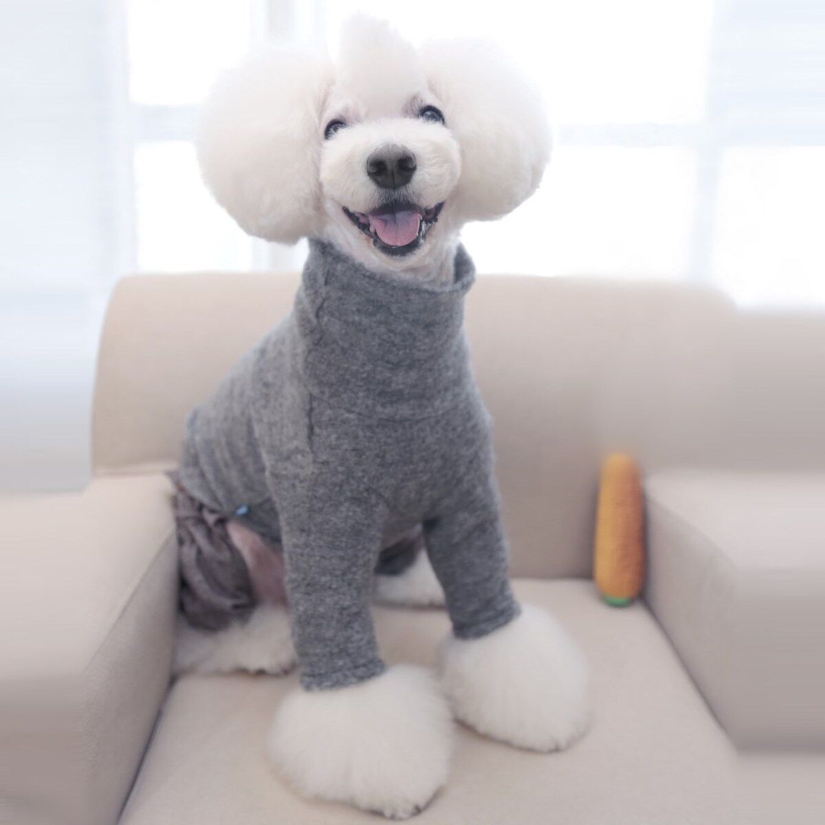 宝眷宠物春季装衣服 羊毛高领打底上衣 保暖泰迪T恤长袖猫狗毛衣