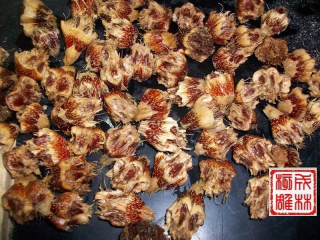 山菠萝、滴血莲花半成品 酒红、精选、进口，保证个个都红