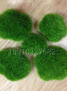 仿真绿植拍摄道具仿真苔藓假石头青苔绿色石头仿真植物墙材料植物