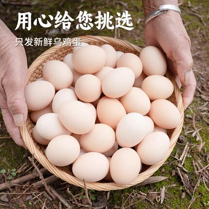 正宗江西泰和白凤乌鸡蛋新鲜原种40枚礼盒散养跑地鸡孕妇月子滋补