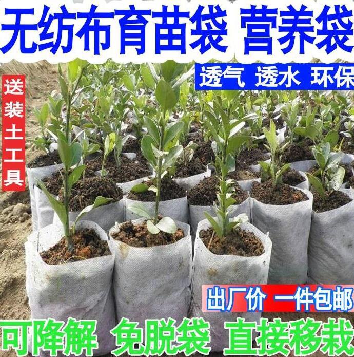 极速营养袋育苗器育苗袋培植大号装果树无纺布袋植物园艺袋子杯盆