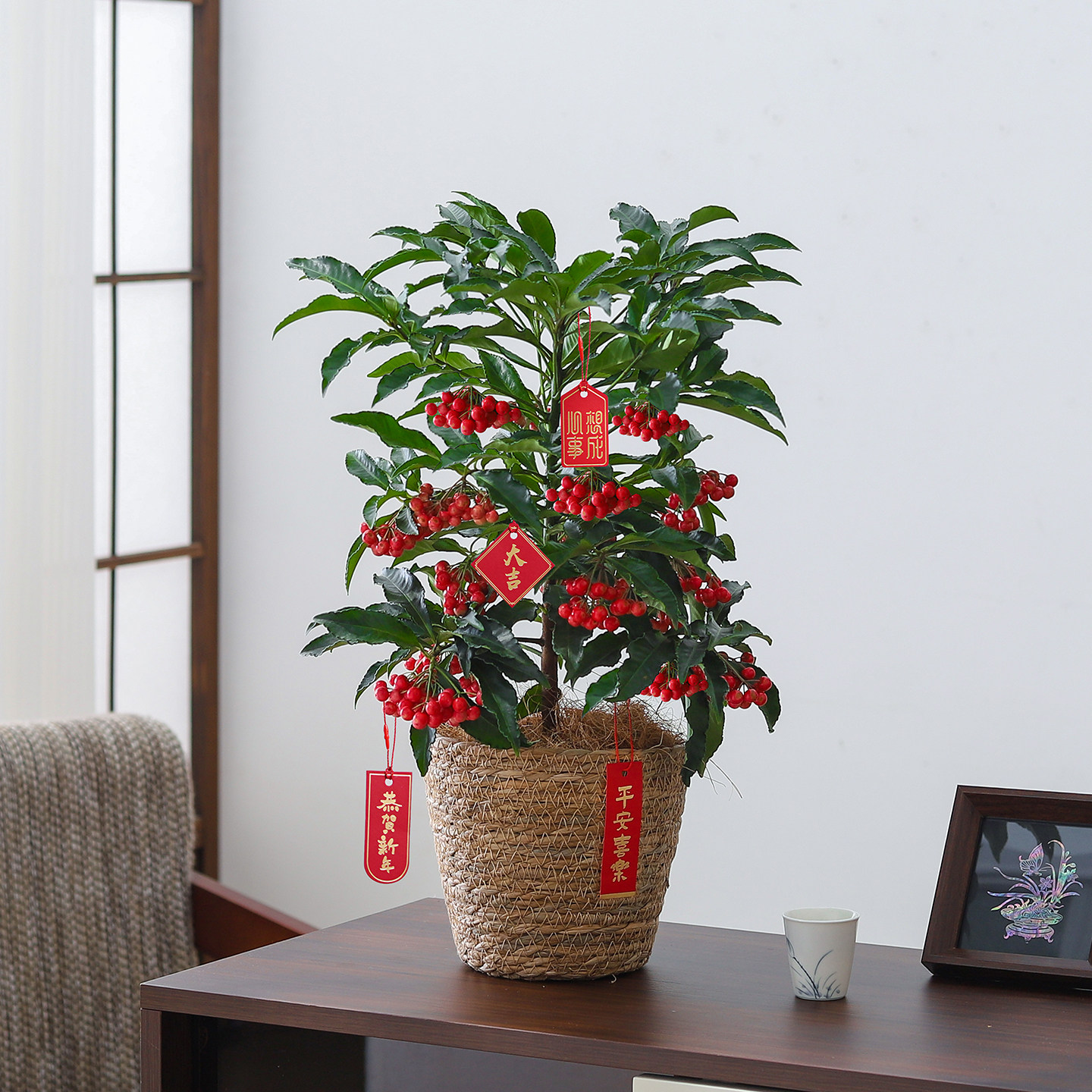 富贵籽盆栽黄金万两年宵花带果室内客厅喜庆好养花卉绿植净化空气,鲜花速递/花卉仿真/绿植园艺,绿植,淘宝优惠券,粉丝福利购,淘宝优惠卷