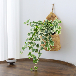 雪莹常春藤植物盆栽室内客厅好养绿植懒人办公室桌面编织挂件盆景