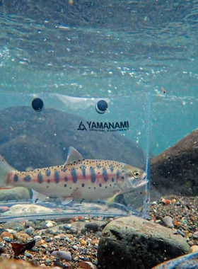 日本YAMANAMI溪流观赏鱼袋 亚克力透明拍摄钓鱼路亚鱼护鱼桶飞钓