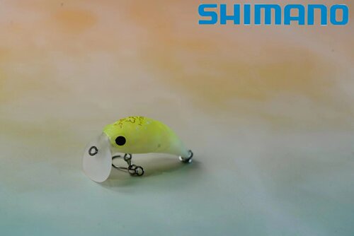 SHIMANO溪流米诺微物路亚卡迪夫