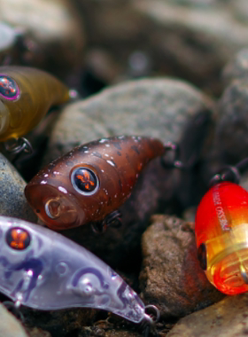 达瓦DAIWA PRESSO POPPIN 路亚微物波趴1.5克 28mm鳟鱼马口路亚饵