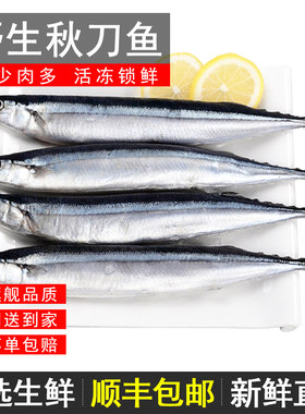立兑秋刀鱼活冻顺丰冷链