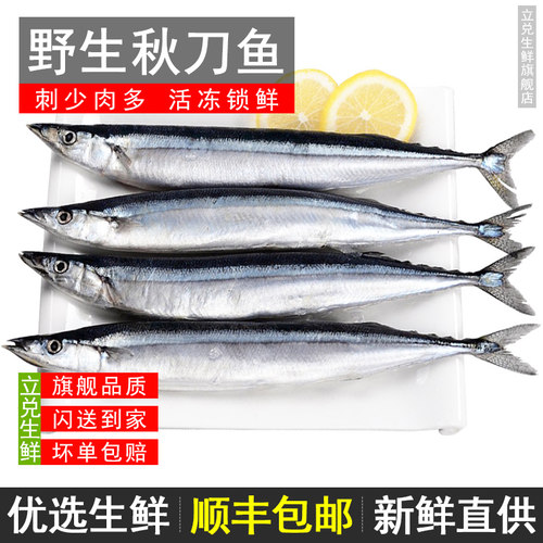 立兑秋刀鱼活冻顺丰冷链