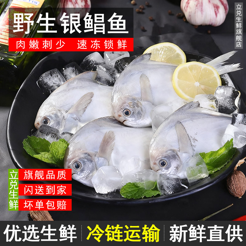 新鲜野生银鲳鱼深海昌鱼冷冻白鲳鱼平鱼鳊鱼东海整箱海鲜海鱼顺丰