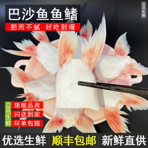 鱼下巴鱼鳍立兑鱼鳍冷冻海鲜