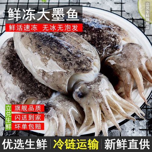 巨型新鲜大墨鱼大乌贼海鲜大章鱼