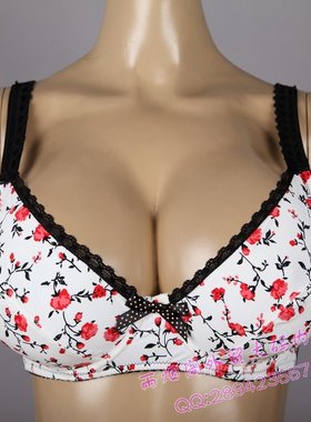 秋.红梅 外贸原单内衣 大码文胸75BCDE80BCEF85BCEF90BCDF95BCDF