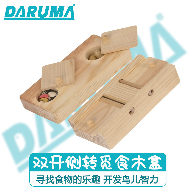 达鲁玛觅食木盒小型鹦鹉图片