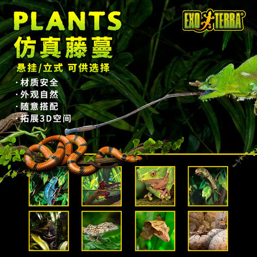 Exo Terra爬虫星球仿真藤蔓莫斯藤条造景搭配微景观悬挂立式CG
