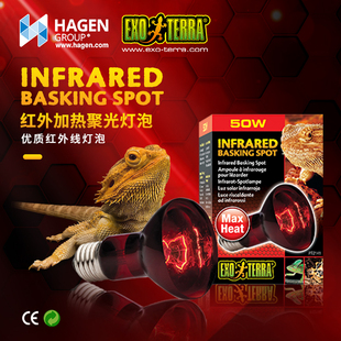 EXO TERRA希瑾爬虫红外线加热灯泡热源龟蛇守宫UVA照明热量 CG