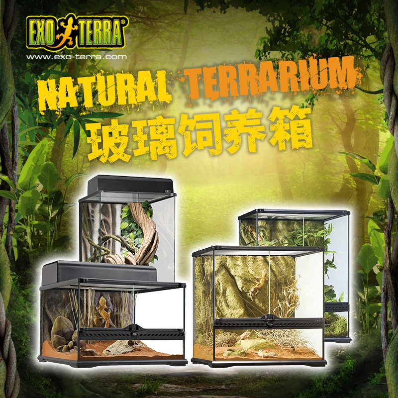 ExoTerra爬虫星球爬箱