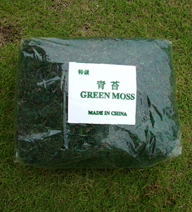 仿真青苔地被植物假花塑料