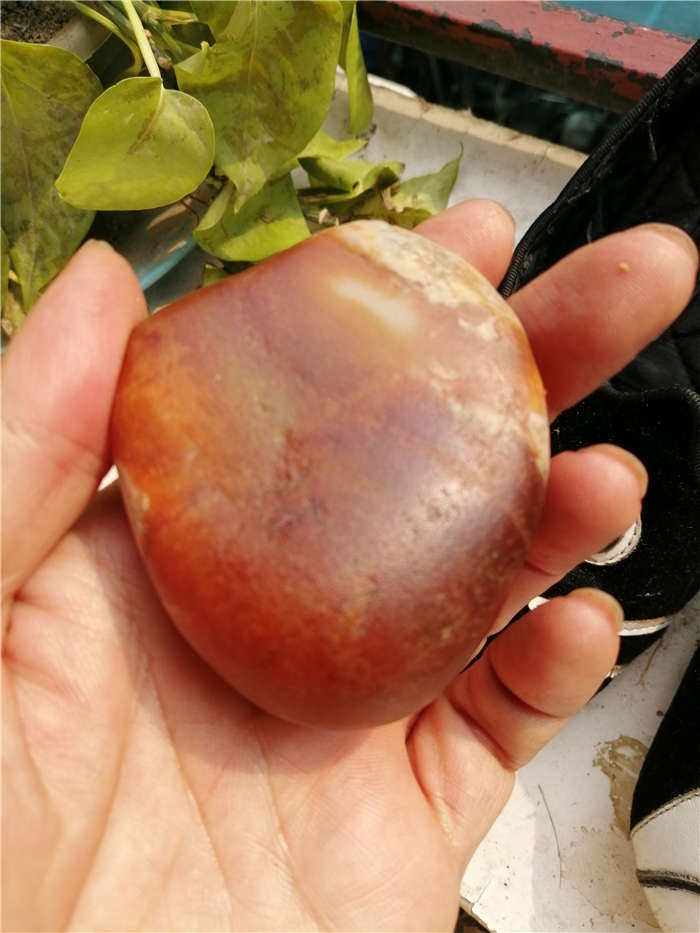 204克新疆和田玉籽料红皮白玉原石玩料（红沁原石）