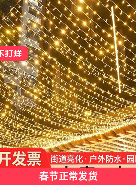 led彩灯闪灯串灯满天星户外防水星星灯树灯24V低压街道工程亮化灯