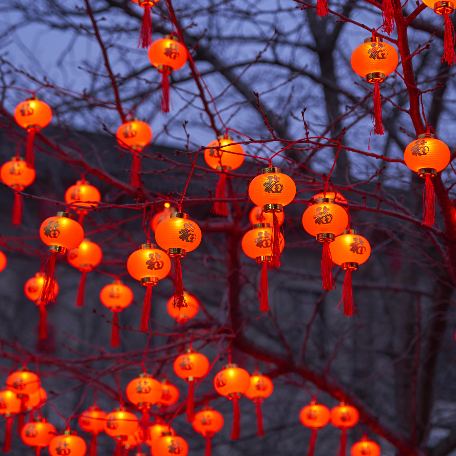 太阳能红灯笼串灯彩灯户外树上庭院小花园过年春节结婚氛围装饰灯