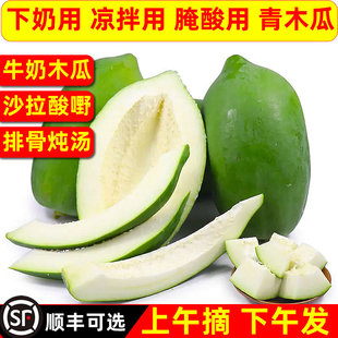 正宗青木瓜生脆生木瓜新鲜下奶煲汤泰式凉拌腌酸菜木瓜丝现摘发货