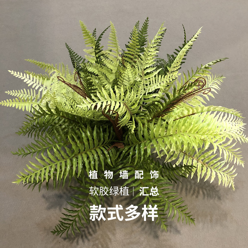 爬宠雨林箱缸仿真蕨类植物造景