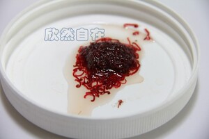 九河冰冻血虫冷冻红虫赤虫红虫热带鱼饲料冷水鱼观赏鱼小型鱼鱼食