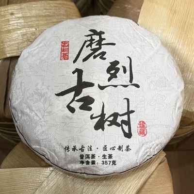 高端古树茶2024年头春磨烈古树茶357克饼回甘猛烈茶气强劲香味浓