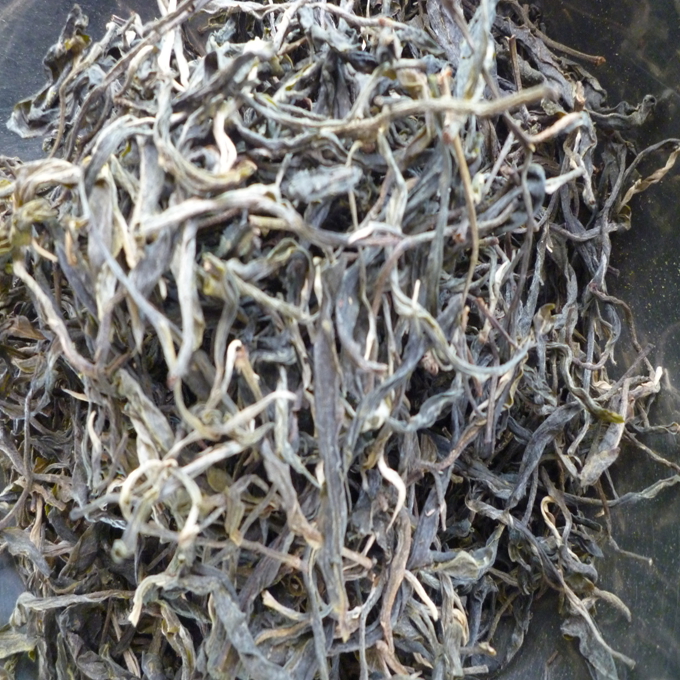 2021年头春茶 昔归忙麓山古树茶 纯料 一口料 质量保证