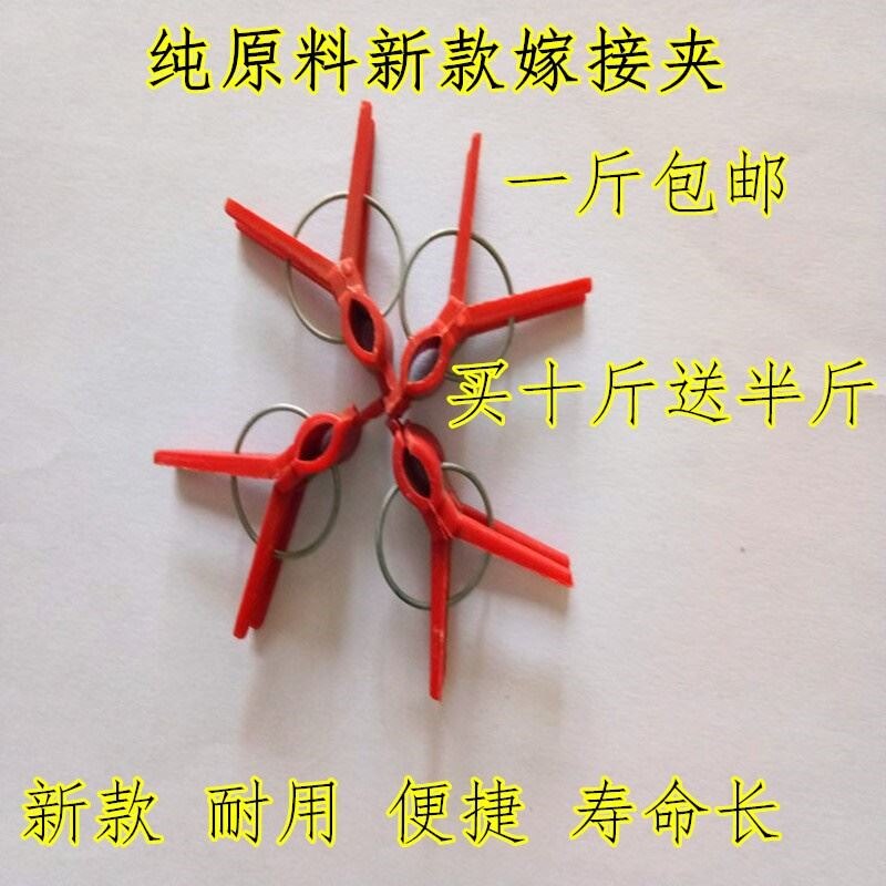 。长茎蔓扶蔓夹专用支撑架卡子大棚夹子方农用白黑嫁接夹蔬菜抱箍在类目 鲜花速递/花卉仿真/绿植园艺, 园艺用品, 其它园艺用品中 - 来自Buy2taobao.com提供专业的淘宝代购服务