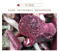 新货福建野外长正红菇干山菌类菇头带脚生态红菇野菌 菇头100g