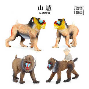 儿童仿真野生动物模型山魈鬼狒狒动物玩具猿猴启蒙认知礼物摆件