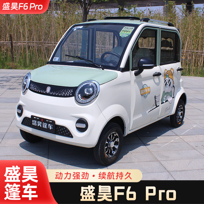 盛昊F6pro电动四轮车全封闭代步车新款女士家用新能源四轮电动车