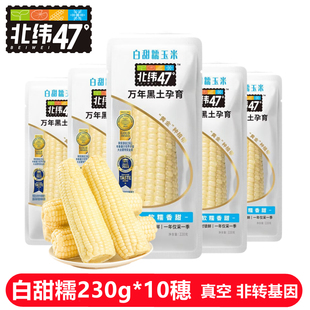 北纬47度白甜糯玉米230g*10根非转基因东北黑土地真空装代餐早餐