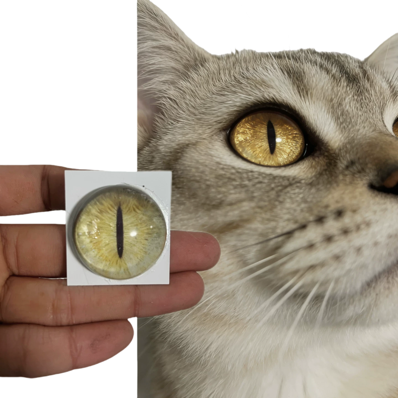 猫黄色眼睛兽头兽装玩偶半球玻璃毛毡动物圆瞳仿真眼捏捏福瑞,模玩/动漫/周边/娃圈三坑/桌游,furry福瑞/兽装,淘宝优惠券,粉丝福利购,淘宝优惠卷