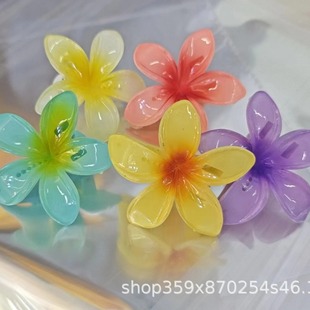 新款 6cm亚马逊甜美糖果色鸡蛋花后脑勺鸭嘴夹发卡气质鲨鱼夹子发