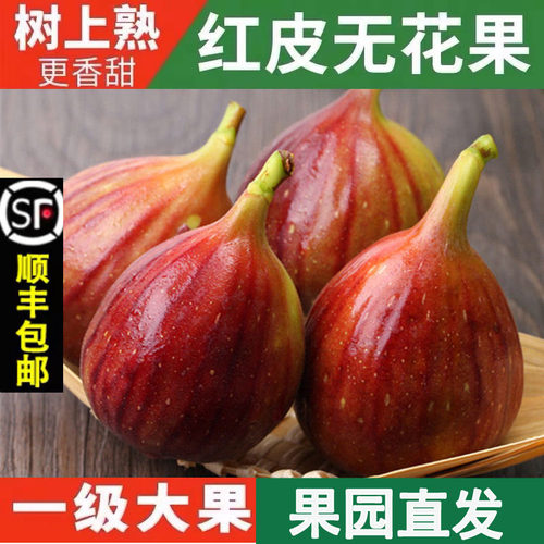 【顺丰包邮】无花果鲜果新鲜无花果红皮孕妇水果应当季大果青红皮