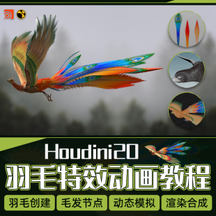Houdini20生物毛发特效教程凤凰羽毛材质动态模拟Karma渲染全流程