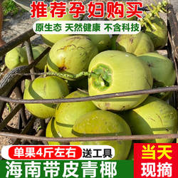 现摘超大果海南文昌三亚新鲜带皮青椰子汁水多孕妇补羊水椰青特产